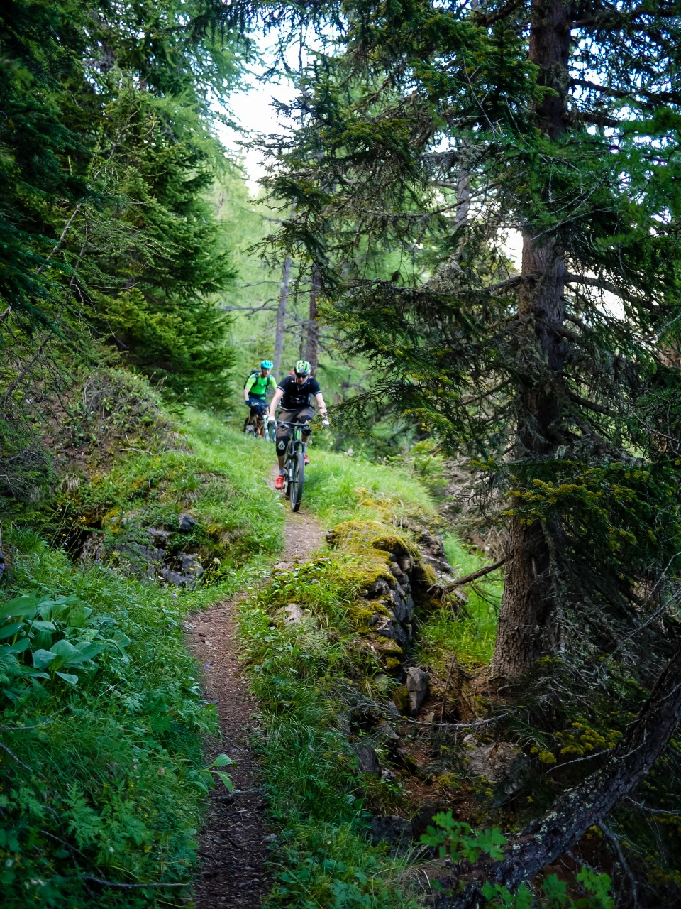 Arpilles - Arpelistock - Audannes- Sion, Juillet 2015 Arpilles - Arpelistock - Audannes- Sion, Juillet 2015