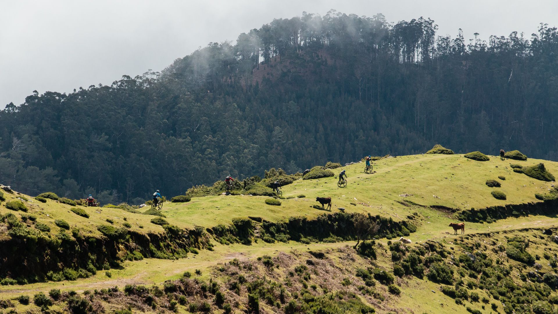 Madère: enduro sur l'ile aux singles, Mars 2016 Madère: enduro sur l'ile aux singles, Mars 2016