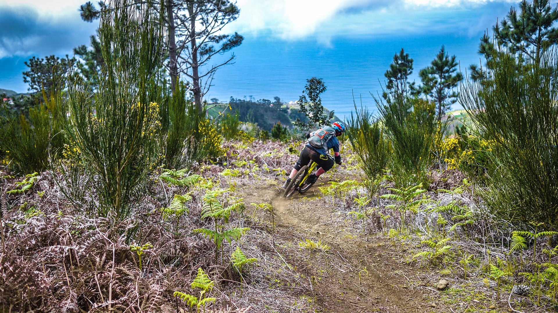 Madère: enduro sur l'ile aux singles, Mars 2016 Madère: enduro sur l'ile aux singles, Mars 2016