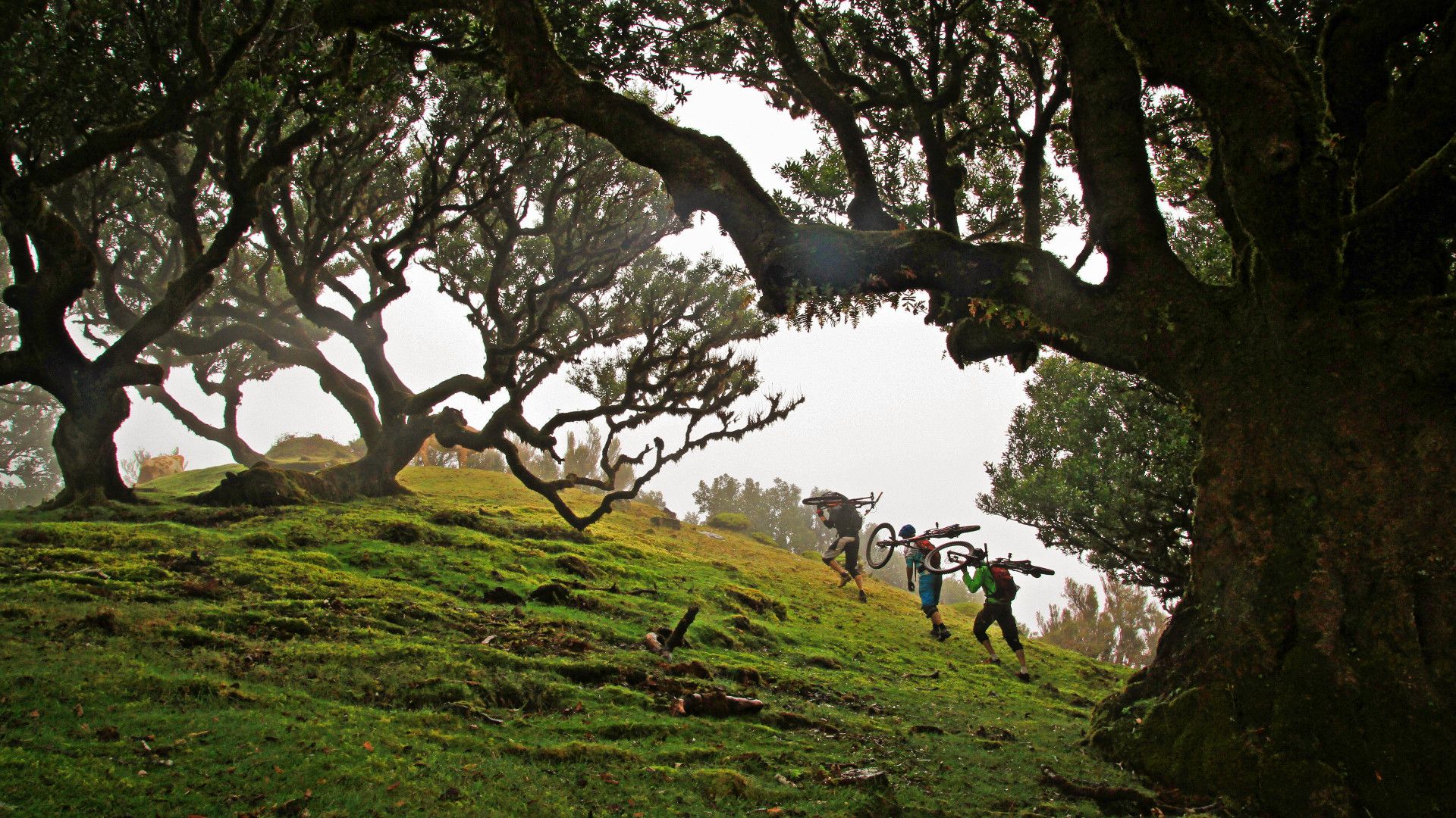 Madère: enduro sur l'ile aux singles, Mars 2016 Madère: enduro sur l'ile aux singles, Mars 2016