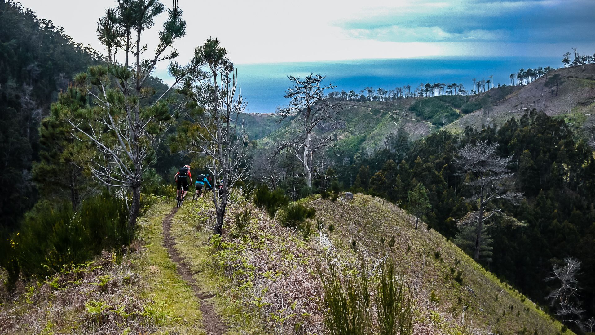 Madère: enduro sur l'ile aux singles, Mars 2016 Madère: enduro sur l'ile aux singles, Mars 2016