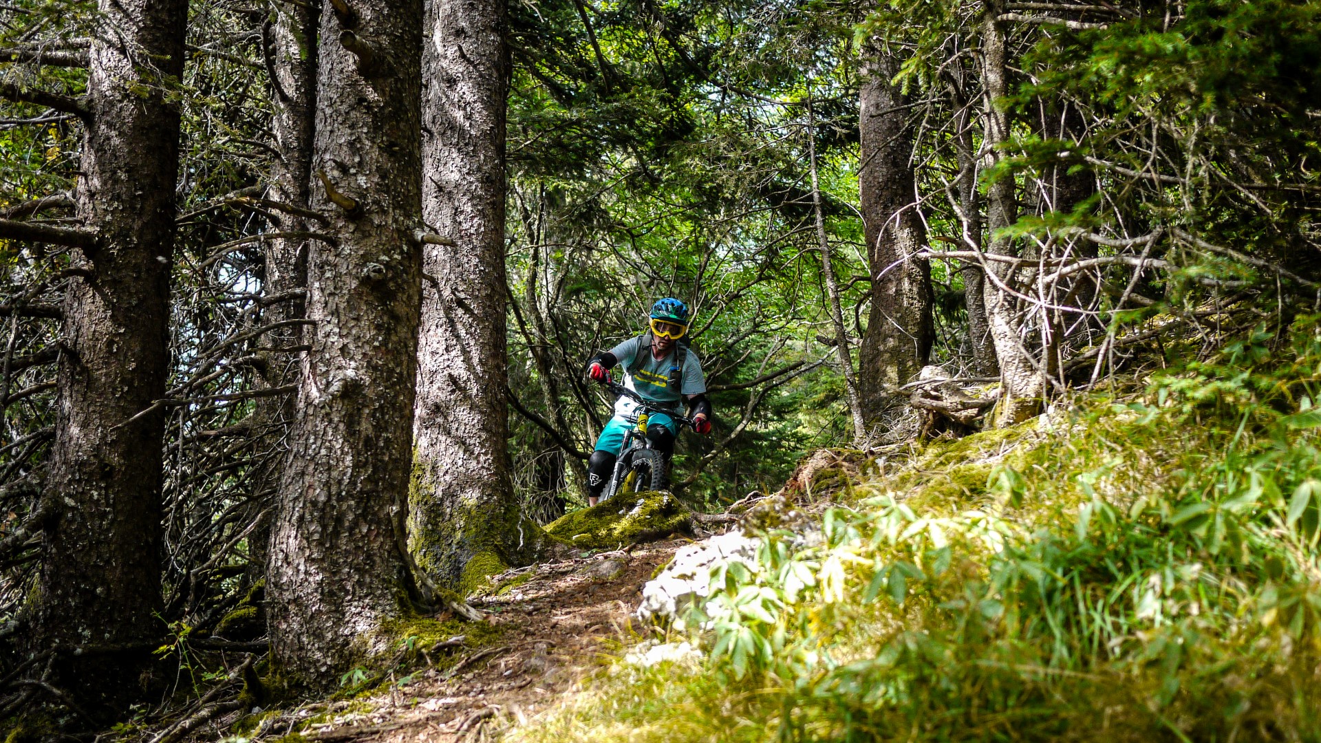 Jura Shuttle Day, journée shuttle dans le Jura Vaudois avec OnCar.ch Jura Shuttle Day, journée shuttle dans le Jura Vaudois avec OnCar.ch