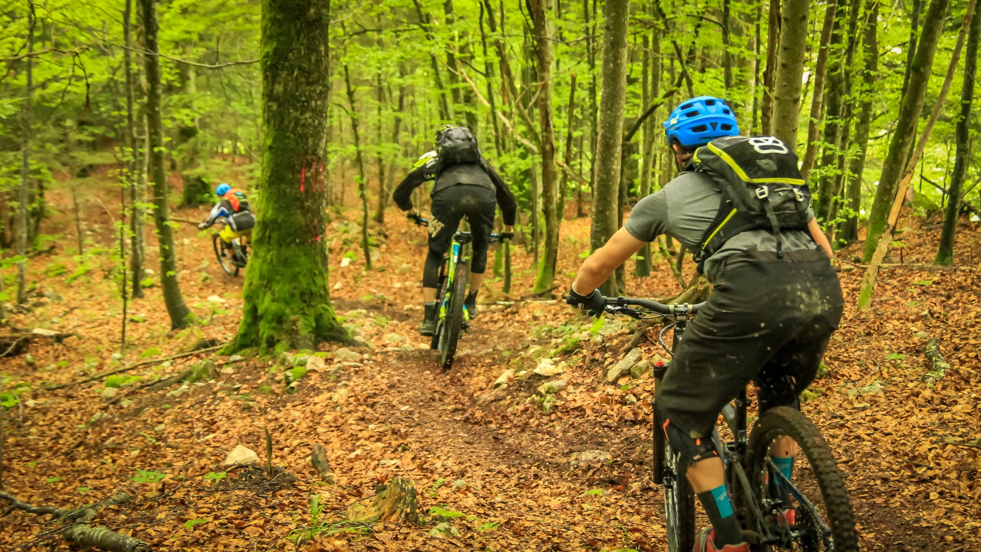 Saucisse Bike Test: journée de test sur les tops bike enduro du moment, avec Alp'Trail, MagicDownhill et Giant, Juin 2016 Saucisse Bike Test: journée de test sur les tops bike enduro du moment, avec Alp'Trail, MagicDownhill et Giant, Juin 2016
