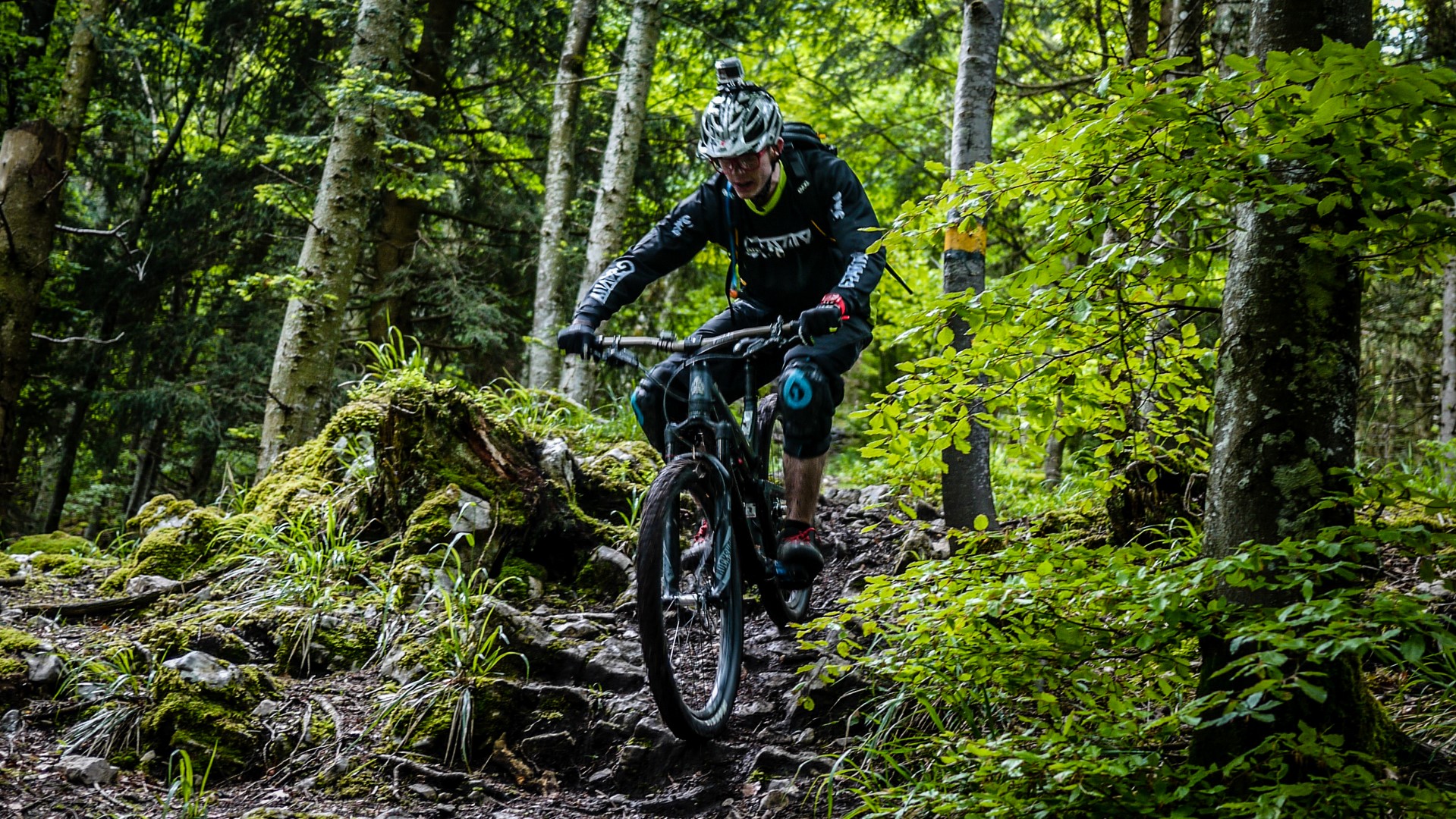 Saucisse Bike Test: journée de test sur les tops bike enduro du moment, avec Alp'Trail, MagicDownhill et Giant, Juin 2016 Saucisse Bike Test: journée de test sur les tops bike enduro du moment, avec Alp'Trail, MagicDownhill et Giant, Juin 2016