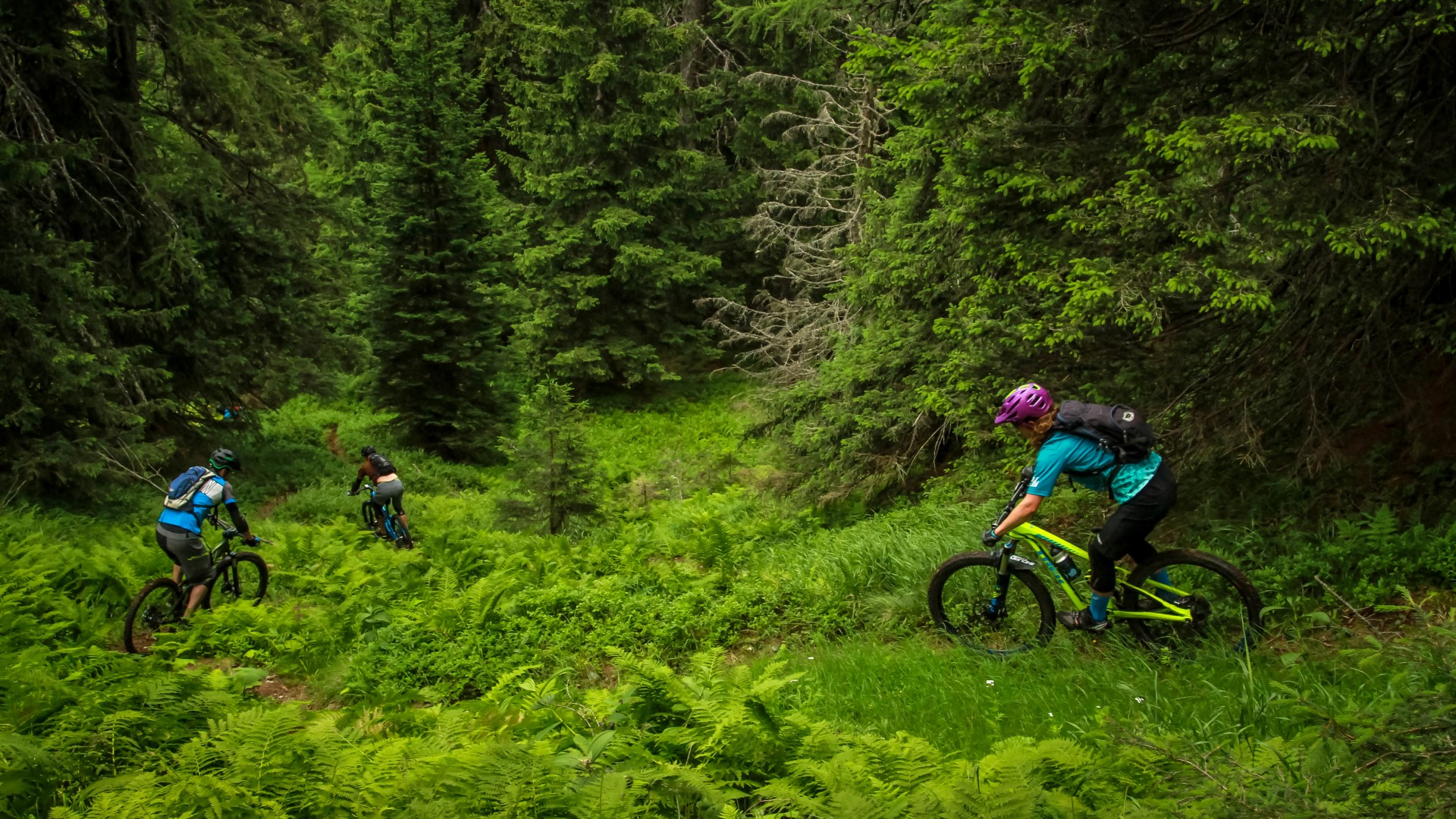 Sortie bikingspots, exploration des variantes du St-Graal Sortie bikingspots, exploration des variantes du St-Graal