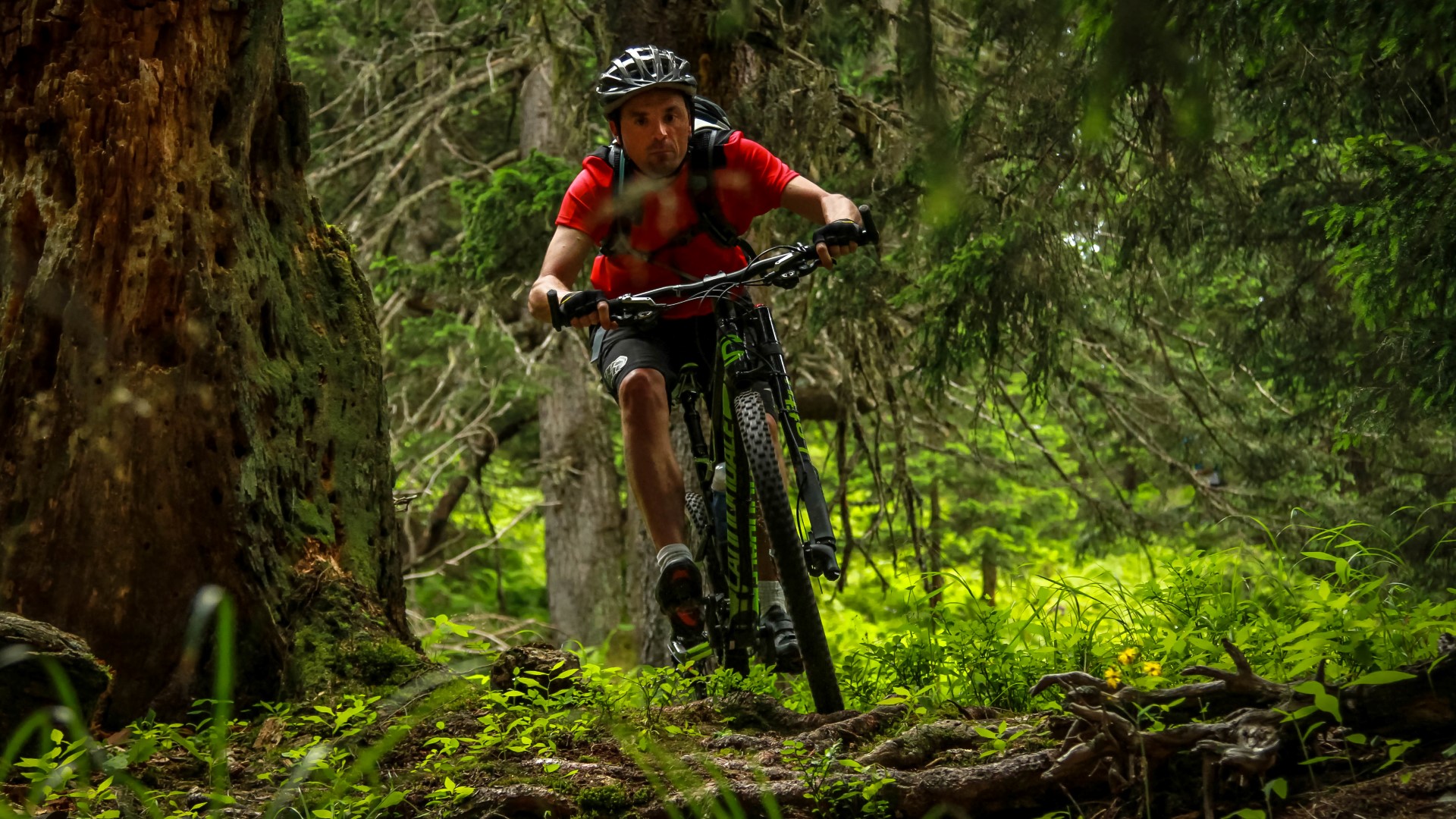 Sortie bikingspots, exploration des variantes du St-Graal Sortie bikingspots, exploration des variantes du St-Graal