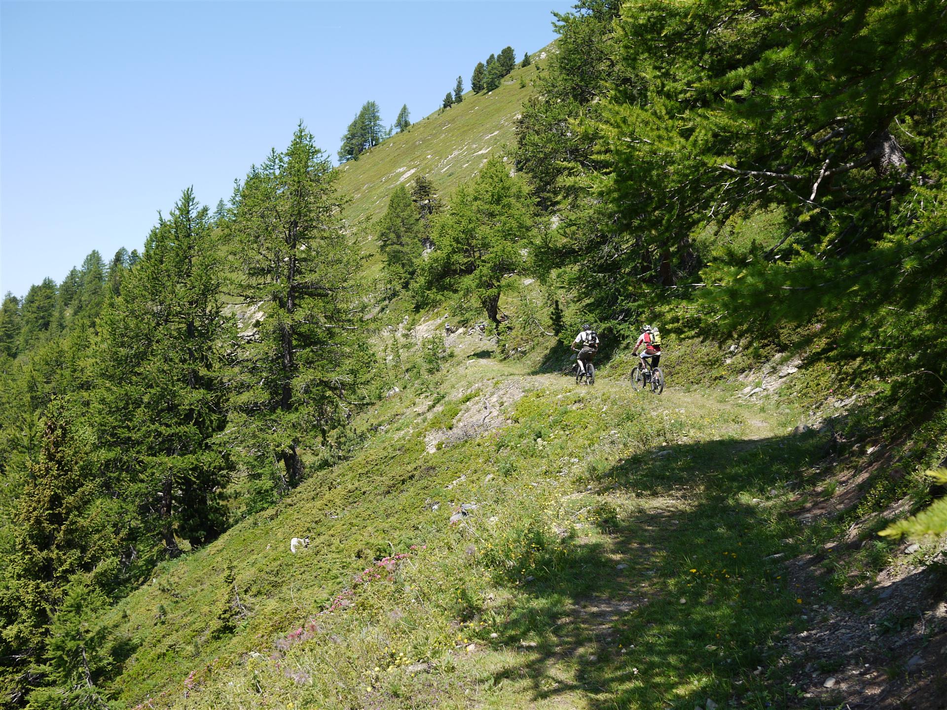 Aller, on pousse sur ces mollets !