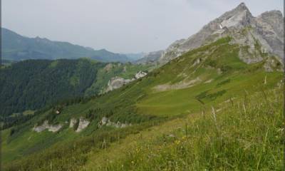 Là, au fond, c´est le sentier...