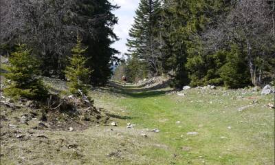 Le sentier au départ de La Barillette