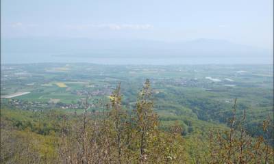 Depuis le sentier qui descend de St-Cergue
