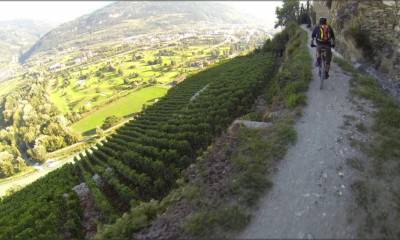 Le bisse de Clavau, ses vignes, sa vue,...